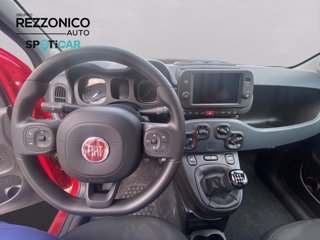 FIAT Pandina 1.0 firefly hybrid s&s 70cv CROSS - NEOPATENTATI