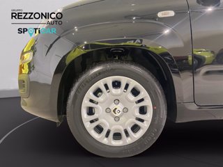 FIAT Pandina 1.0 firefly hybrid Icon s&s 70cv - PRONTA CONSEGNA