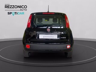FIAT Pandina 1.0 firefly hybrid Icon s&s 70cv - PRONTA CONSEGNA