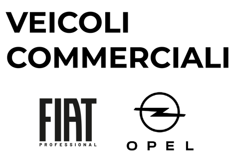 Veicoli commerciali